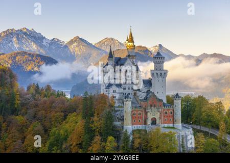 Château de Neuschwanstein en face des montagnes dans le brouillard, entouré d'arbres d'automne, Schwangau, Ostallgaeu, Allgaeu, Souabe, haute Bavière, Bavière, Banque D'Images