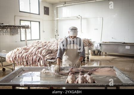 Production de canards salés dans l'usine de Nan Jing Ying Tao Yo Co. Ltd., pour la consommation dans les restaurants mais aussi pour la vente comme produits durables et comme s. Banque D'Images