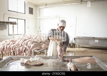 Production de canards salés dans l'usine de Nan Jing Ying Tao Yo Co. Ltd., pour la consommation dans les restaurants mais aussi pour la vente comme produits durables et comme s. Banque D'Images