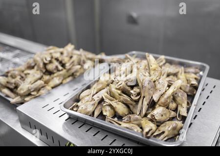 Production de têtes de canard salées dans l'usine Nan Jing Ying Tao Yo Co. Ltd., une collation populaire, les canards congelés proviennent des fermes de canards, sont salés, Banque D'Images
