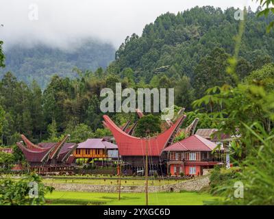 Maisons traditionnelles Toraja, paysage tropical de montagne, Tana Toraja, Sulawesi, Indonésie, Asie Banque D'Images