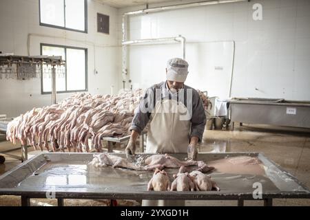 Production de canards salés dans l'usine de Nan Jing Ying Tao Yo Co. Ltd., l'usine produit des canards salés pour la consommation dans les restaurants et pour la vente Banque D'Images