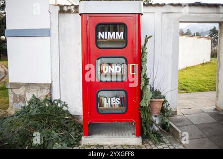 Cabine téléphonique comme bibliothèque, Leoben, Styrie, Autriche, Europe Banque D'Images