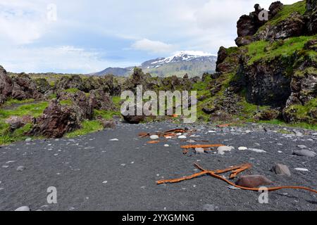 Djupalonssandur, plage avec les restes d'un naufrage. En bas Snaefellsjokull. Dritvik, péninsule de Snaefellsnes, Islande. Banque D'Images