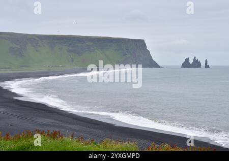 Dyrholaey, Black Beach. Vik, Islande. Banque D'Images