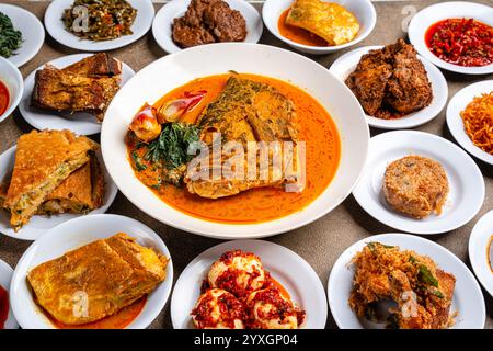 Nasi padang est un plat buffet complet comme (indonésien : ayam goreng, ayam rendang, ikan gulai, perkedel, rendang sapi, telur dadar), légumes et s. Banque D'Images