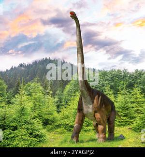 Brachiosaurus sur fond de forêt préhistorique. Banque D'Images