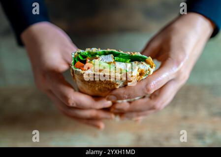 Femme tenant shawarma avec du poulet et des légumes. Banque D'Images