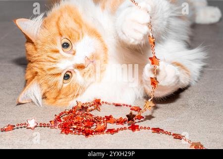 Un chat gingembre moelleux joue avec les décorations de Noël tout en étant allongé sur le sol. Banque D'Images