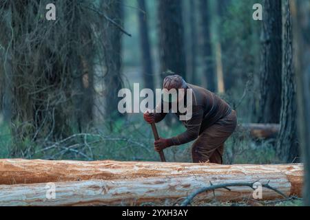 Un ouvrier forestier coupe un arbre dans la forêt Banque D'Images