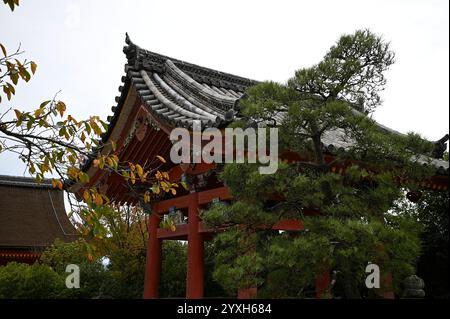 Vue panoramique du Shoro une structure couverte sans murs connue sous le nom de fukihanachi utilisée comme clocher sur le terrain de Kiyomizu-dera à Kyoto, au Japon. Banque D'Images