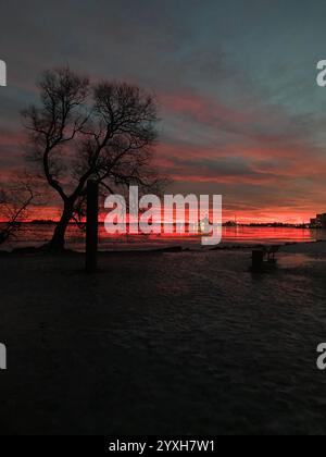 Incroyable coucher de soleil au bord de l'eau avec un arbre au premier plan. Photo prise le 13 janvier 2022 à Västerås, Suède Banque D'Images