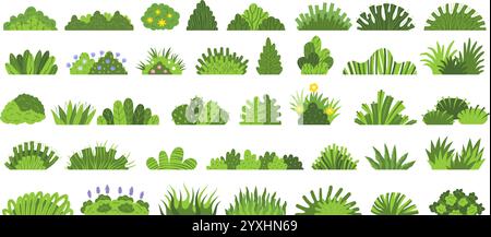 Bagues. Illustrations botaniques de buissons décoratifs ensemble floral vectoriel récent dans un style plat Illustration de Vecteur