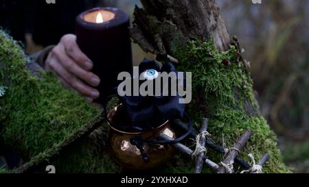 Une rose noire sur une branche moussue. Gothique, Halloween. Banque D'Images