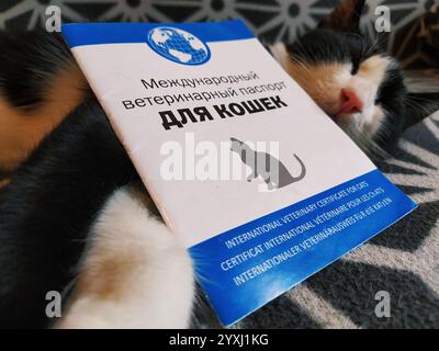 Moscou, Russie, 17 novembre 2020. Inscription - passeport vétérinaire international pour chats. Le museau et les pattes d'un chat noir et blanc. Documenter Banque D'Images