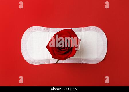 Tampon menstruel avec fleur de rose sur fond rouge, vue de dessus Banque D'Images