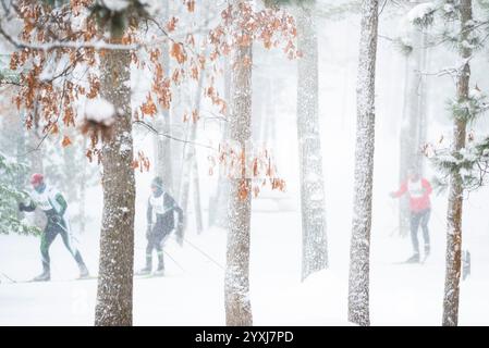 Compétiteurs de course à travers des paysages boisés pendant le segment de ski nordique du North American Vasa Festival of races, traverse City, Michigan, États-Unis Banque D'Images