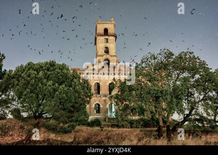 Ancienne tour d'habitation. Situé à Coina, Barreiro. connu comme le château du roi des ordures. ' image de nuit. Dark Castle. Les oiseaux volent.Coina-Barreiro-Portugal. Banque D'Images