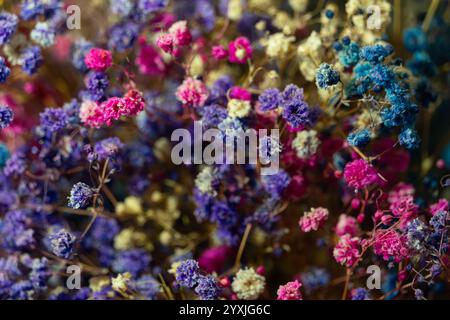 Une collection vivante de fleurs séchées met en valeur un éventail de couleurs, y compris le rose, le bleu et le jaune, idéal pour améliorer la décoration de la maison ou les événements avec un na Banque D'Images