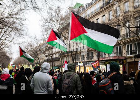 Paris, France. 14 décembre 2024. Les manifestants tiennent des drapeaux palestiniens pendant la manifestation pro-palestinienne. Des centaines de personnes ont pris part à une manifestation pro-palestinienne organisée par le collectif urgence Palestine, à Paris. Crédit : SOPA images Limited/Alamy Live News Banque D'Images