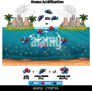 Illustration du processus d'acidification des océans et des réactions chimiques Illustration de Vecteur