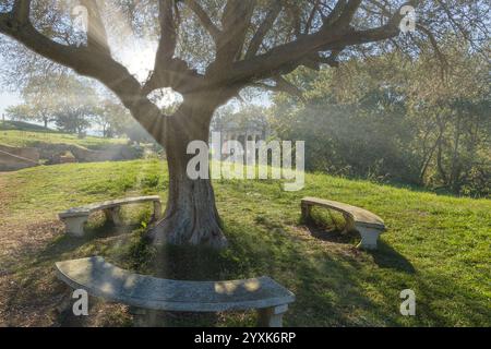 Tympan du Monument de l'Agonothetique, une partie de Bouleuterion- Apollonia, Albanie. L'ancienne ville d'Apollonia Albanie. Site archéologique d'Apollonia. Tr Banque D'Images