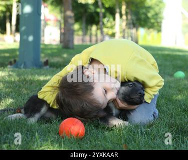 Garçon mignon jouant avec des chiots bergers sur l'herbe dans le parc d'été Banque D'Images