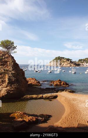 Espagne. Catalogne. Province de Gérone. Tossa de Mar. Ville située sur la Costa Brava. Côte paysagère. Plage de Mar Menuda. Banque D'Images