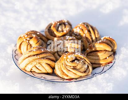 Petits pains de cannelle tressés gourmands sur un lit de neige Banque D'Images