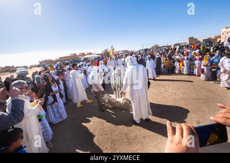 Merzouga, Maroc, 12, 6, 2023. Un mariage berbère traditionnel a lieu à la périphérie du village. il y a un agneau à sacrifier. Banque D'Images