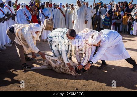 Merzouga, Maroc, 12, 6, 2023. Détail d'une scène où il y a un agneau à sacrifier suivant le rite traditionnel avec symbolique et religieux Banque D'Images