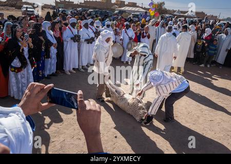 Merzouga, Maroc, 12, 6, 2023. Un mariage berbère traditionnel a lieu à la périphérie du village. au centre de la scène il y a un agneau t Banque D'Images