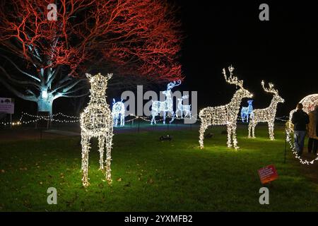 Chemin de lumière de Noël Romsey Hilliers jardins Banque D'Images