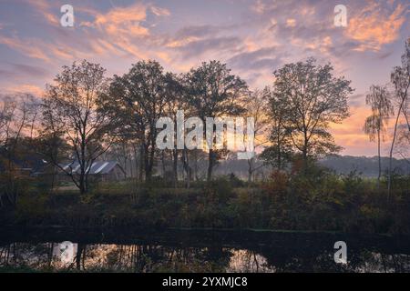 Paysage tranquille à Drenthe avec des arbres silhouettés contre un ciel de coucher de soleil coloré, avec des reflets sur l'eau calme, capturant la beauté de natur Banque D'Images