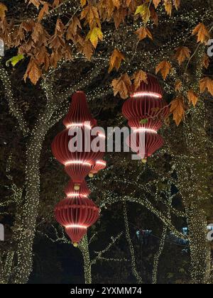 Lanternes rouges extérieures. Décorations et lumières de Noël Banque D'Images