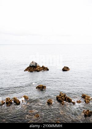 Un paysage marin serein avec des formations rocheuses dispersées émergeant des eaux calmes de l'océan. De douces vagues entourent les rochers sous un ciel doux et couvert, cr Banque D'Images