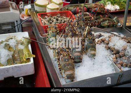 Homard Spiny frais sur glace au vendeur de nourriture de rue, marché de fruits de mer frais aux crevettes Banque D'Images