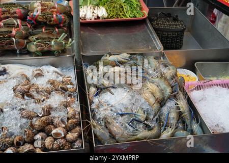 Clanp de fraîcheur et crevettes de rivière d'eau douce géantes fraîches sur glace pour les voyageurs étrangers thaïlandais visite et sélectionnez acheter pour cuisiner la cuisine du chef Banque D'Images