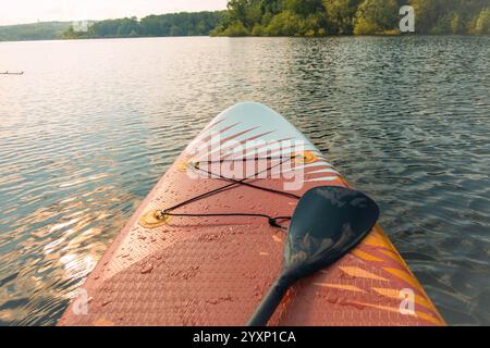 Une planche de surf avec une pagaie est assise dans l'eau. L'eau est calme et le ciel dégagé Banque D'Images