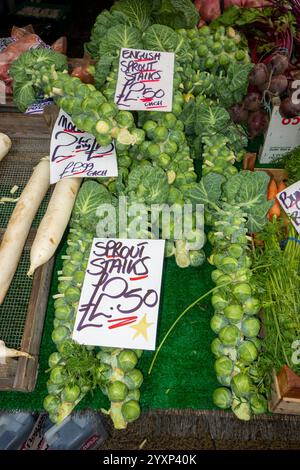 Tiges de pousses de Brussel à vendre sur un étal de marché dans la perspective de Noël Banque D'Images