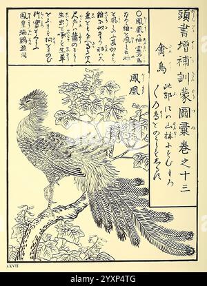 Encyclopédie, japonaise, Leyde, Netherlands, Brill, 1875, oiseaux, japon, l'illustration présente une représentation magnifiquement détaillée d'un phénix mythique perché gracieusement sur une branche d'arbre. Le phoenix se caractérise par son cou allongé et son plumage élaboré, présentant des motifs de plumes complexes qui coulent avec élégance. Autour de l'oiseau se trouvent des branches stylisées ornées de feuilles, renforçant le sentiment d'un cadre naturel et organique. L'image est accompagnée de délicats caractères japonais et d'annotations artistiques, fournissant un contexte culturel et un aperçu de la signification du phoenix In Banque D'Images