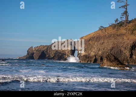 WA25956-00...WASHINGTON - Une vague se déversant à travers le trou dans la roche à l'extrémité nord de second Beach dans le parc national olympique. Banque D'Images