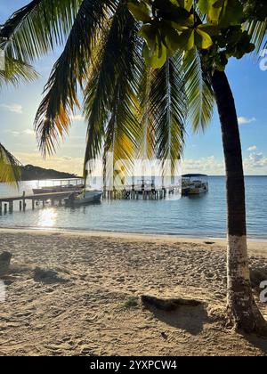 Une belle plage encadrée de palmiers à Roatan, Honduras. Banque D'Images