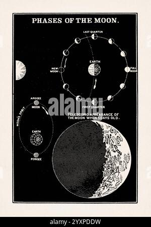 Illustration astronomique par Asa Smith. Illustration vintage en noir et blanc tirée d'un livre d'astronomie de 1850 pour les classes juniors, publié à Londres. Fonction Banque D'Images