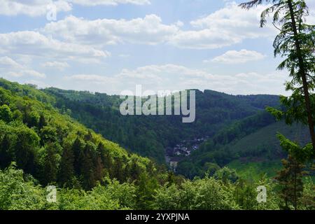 Paysage urbain d'Iserlohn, Rhénanie-du-Nord-Westphalie, Allemagne, vu d'une colline. Banque D'Images