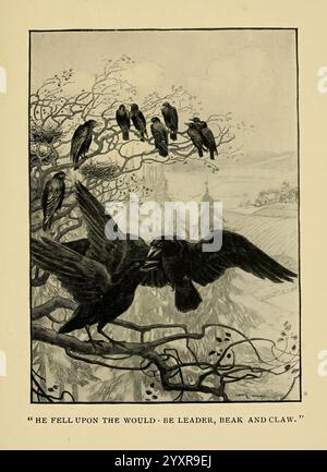 Locataires des arbres, Boston, 1907, oiseaux, 5908, littérature juvénile, Une scène dramatique se déroule alors que deux corbeaux s'engagent dans une lutte acharnée dans un arbre, mettant en valeur leurs instincts territoriaux. Au-dessus d'eux, un groupe de corbeaux regarde attentivement, observant la confrontation se dérouler. Le décor présente un paysage brumeux en arrière-plan, rempli de grands arbres et un mélange de tons ombragés qui renforcent la tension du moment. La phrase ''il est tombé sur le leader, le bec et la griffe'' capture l'essence de cette rencontre sauvage, mettant en évidence les thèmes du pouvoir, de la rivalité et de la survie dans la nature. Banque D'Images