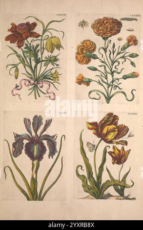 De Europischen Insecten, Tot Amsterdam, de J.F. Bernard, 1730, Europe, insectes, botanique, métamorphose, œuvres picturales, Maria Sibylla Merian, Women in science, Une collection de quatre illustrations botaniques mettant en vedette diverses fleurs. Dans le quadrant supérieur gauche, une composition comprend une fleur rouge frappante aux côtés de délicates fleurs jaunes, avec des détails complexes dans les pétales et les feuilles. Le quadrant supérieur droit présente un souci orange vif entouré d'un feuillage vert luxuriant et de petits insectes, mettant l'accent sur l'écosystème naturel. Le quadrant inférieur gauche présente un iris élégant avec des teintes profondes de Banque D'Images