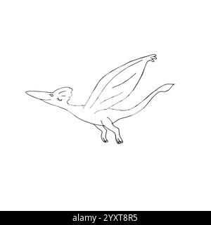 Vecteur dessin de doodle dessiné à la main dessin volant ptérodactyle dinosaure isolé sur fond blanc Illustration de Vecteur