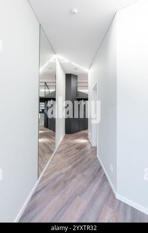Un couloir contemporain élégant aux lignes épurées, à l'architecture géométrique, à l'élégant parquet, créant un aestheti moderne minimaliste et élégant Banque D'Images