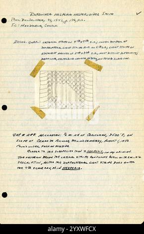 Notes de terrain, Mexique. 1949-1950, illustration, Mexique, Mexico, Morelia, dessin, serpent, journal intime, Guadalajara, Jalisco, tortues, grenouilles, archives, serpents, lézards, Maruata, la Placita, herpétologie, Aquila, notes de terrain, illustrations scientifiques, livre de terrain, herpétologues, Michoacán, Ciudad de México, code fiscal Alarcón, Archives, la Barranca de Navidad, Coahuayana, Colima Nevado de, Maquili, Une note d'étude détaillée présente une illustration centrale d'un motif de filet texturé, entouré d'annotations manuscrites qui décrivent ses caractéristiques. Le texte détaille le spécimen comme appartenant à la spe Banque D'Images